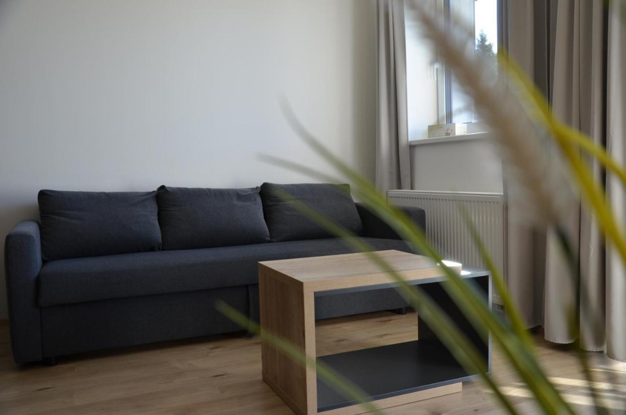 Visit Sauna Klinovec Loučná pod Klínovcem Eksteriør billede